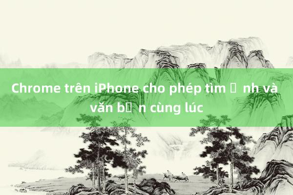 Chrome trên iPhone cho phép tìm ảnh và văn bản cùng lúc