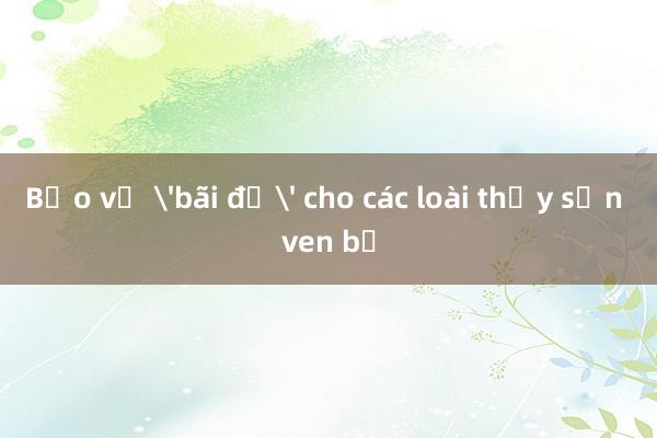 Bảo vệ 'bãi đẻ' cho các loài thủy sản ven bờ