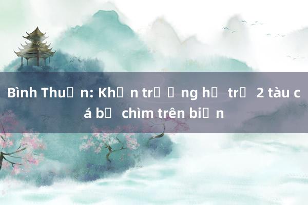 Bình Thuận: Khẩn trương hỗ trợ 2 tàu cá bị chìm trên biển