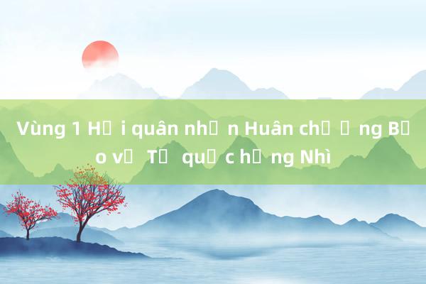 Vùng 1 Hải quân nhận Huân chương Bảo vệ Tổ quốc hạng Nhì