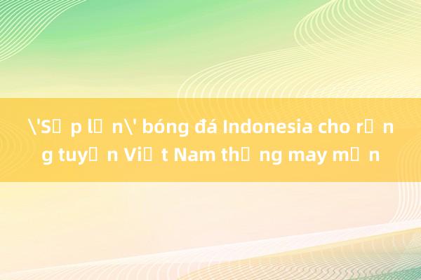 'Sếp lớn' bóng đá Indonesia cho rằng tuyển Việt Nam thắng may mắn