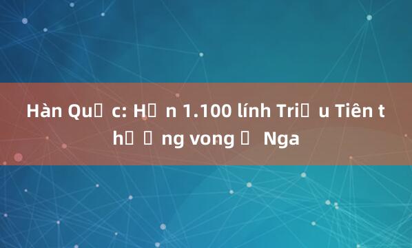 Hàn Quốc: Hơn 1.100 lính Triều Tiên thương vong ở Nga