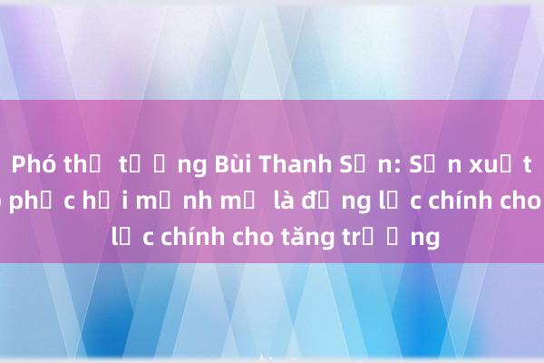 Phó thủ tướng Bùi Thanh Sơn: Sản xuất công nghiệp phục hồi mạnh mẽ là động lực chính cho tăng trưởng