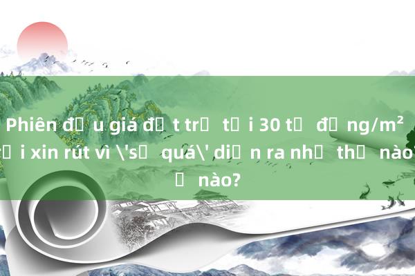 Phiên đấu giá đất trả tới 30 tỉ đồng/m² rồi xin rút vì 'sợ quá' diễn ra như thế nào?