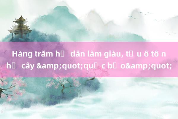 Hàng trăm hộ dân làm giàu， tậu ô tô nhờ cây &quot;quốc bảo&quot;