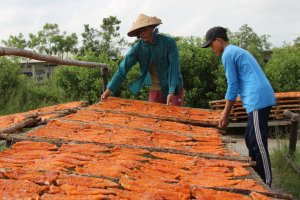 Tư vấn, nói chuyện trực tiếp góp phần tạo việc làm cho nhiều lao động