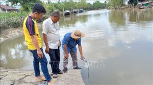 Mặn xâm nhập sâu vào đất liền hơn 40km